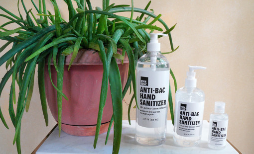 BornBasic hand sanitizer in different sizes on a tabletop next to an aloe plant. 